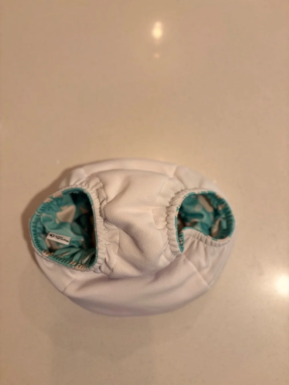 Reusable Kids Swim Diaper - Aqua Turtle Print